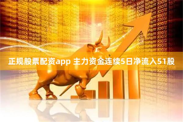 正规股票配资app 主力资金连续5日净流入51股