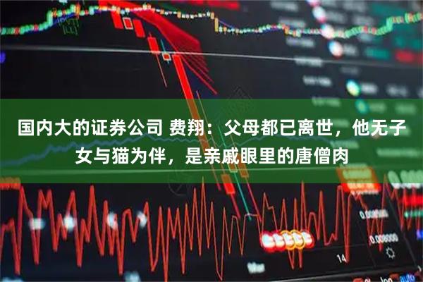 国内大的证券公司 费翔：父母都已离世，他无子女与猫为伴，是亲戚眼里的唐僧肉