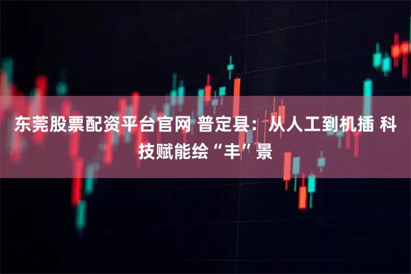 东莞股票配资平台官网 普定县：从人工到机插 科技赋能绘“丰”景