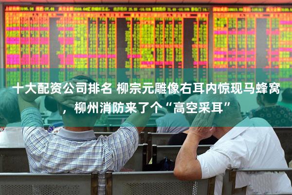十大配资公司排名 柳宗元雕像右耳内惊现马蜂窝，柳州消防来了个“高空采耳”